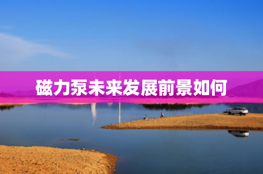 磁力泵未来发展前景如何
