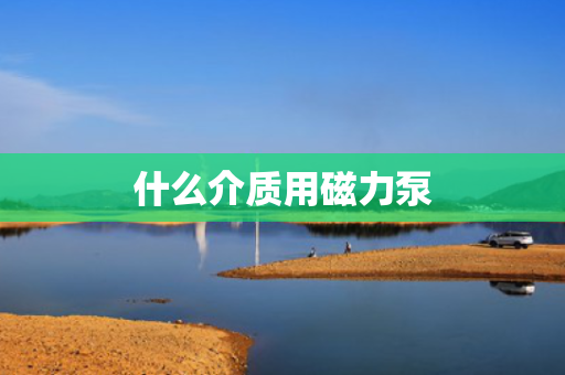 什么介质用磁力泵