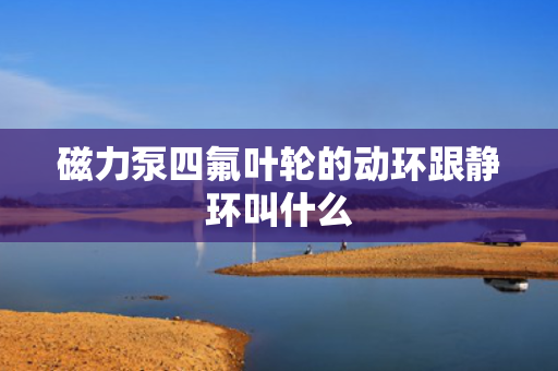 磁力泵四氟叶轮的动环跟静环叫什么