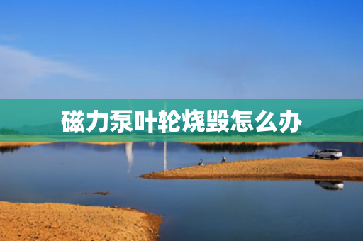 磁力泵叶轮烧毁怎么办