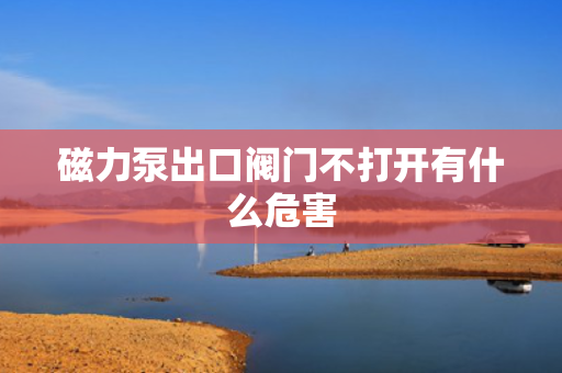 磁力泵出口阀门不打开有什么危害