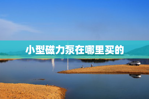 小型磁力泵在哪里买的