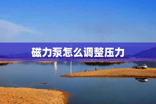 磁力泵怎么调整压力