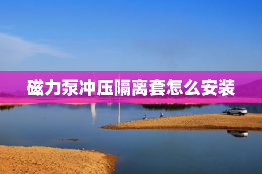 磁力泵冲压隔离套怎么安装