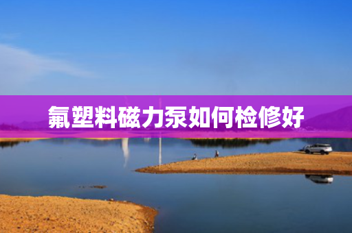 氟塑料磁力泵如何检修好