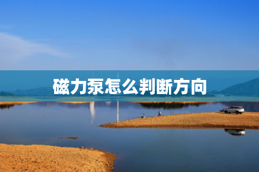 磁力泵怎么判断方向
