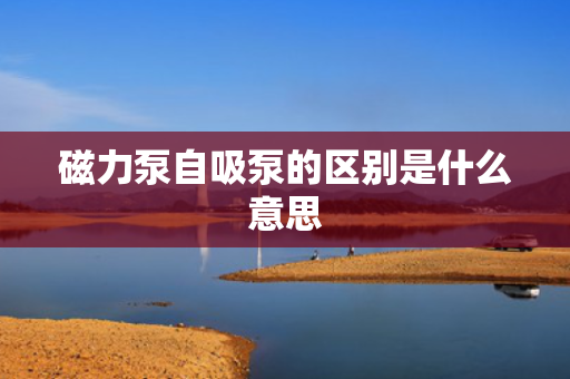 磁力泵自吸泵的区别是什么意思
