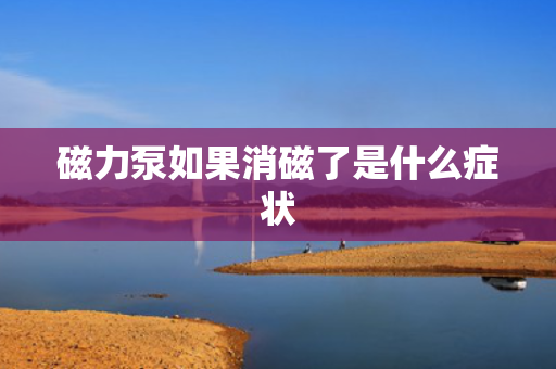 磁力泵如果消磁了是什么症状