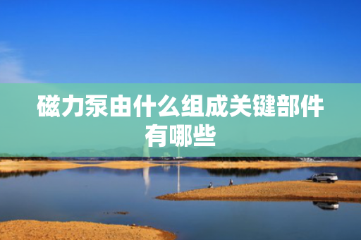 磁力泵由什么组成关键部件有哪些