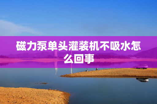 磁力泵单头灌装机不吸水怎么回事