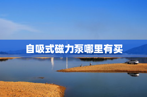 自吸式磁力泵哪里有买