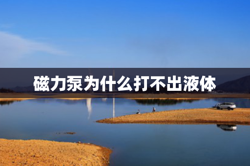 磁力泵为什么打不出液体