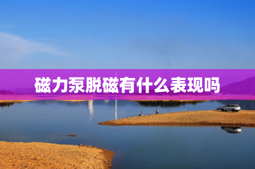 磁力泵脱磁有什么表现吗