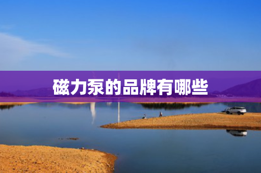 磁力泵的品牌有哪些