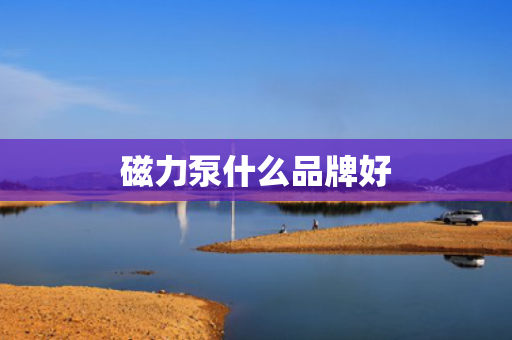 磁力泵什么品牌好