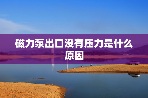 磁力泵出口没有压力是什么原因