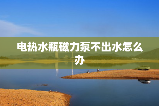 电热水瓶磁力泵不出水怎么办