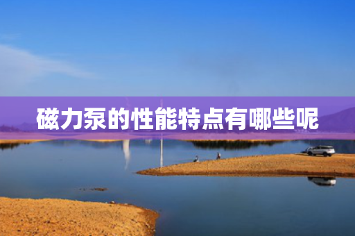 磁力泵的性能特点有哪些呢