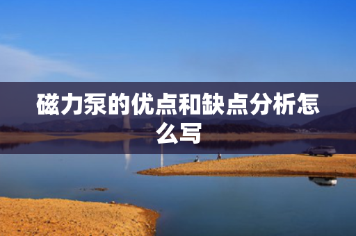 磁力泵的优点和缺点分析怎么写