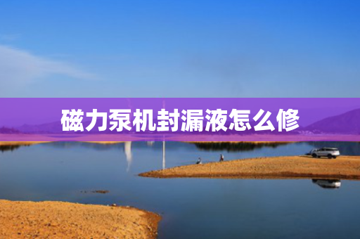 磁力泵机封漏液怎么修