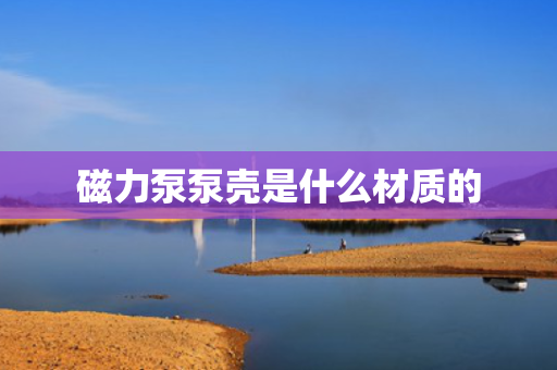磁力泵泵壳是什么材质的