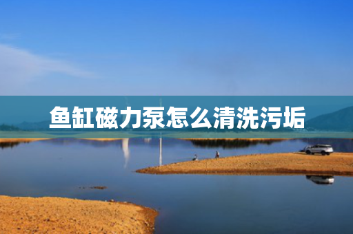 鱼缸磁力泵怎么清洗污垢