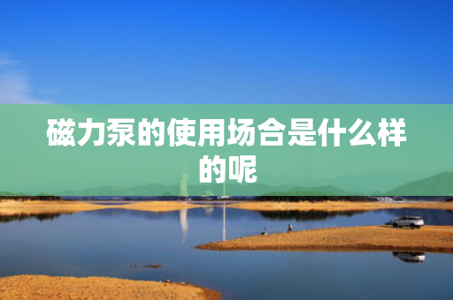 磁力泵的使用场合是什么样的呢