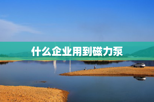 什么企业用到磁力泵