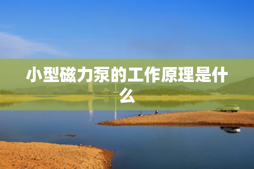 小型磁力泵的工作原理是什么