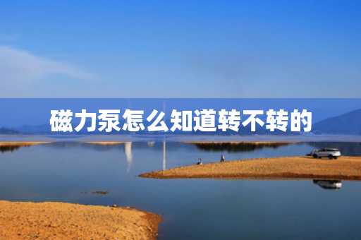 磁力泵怎么知道转不转的