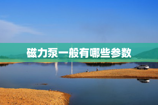 磁力泵一般有哪些参数