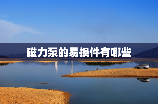 磁力泵的易损件有哪些