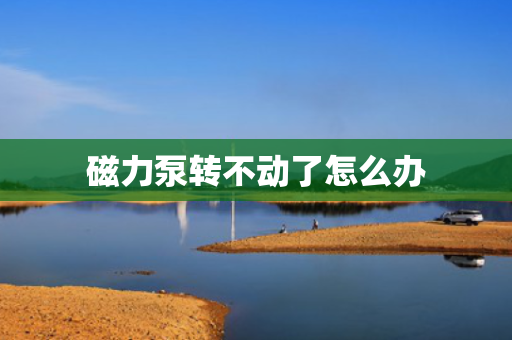 磁力泵转不动了怎么办
