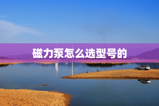 磁力泵怎么选型号的