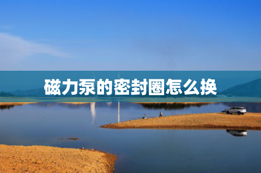 磁力泵的密封圈怎么换