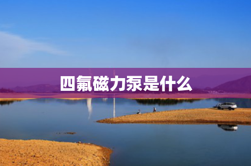 四氟磁力泵是什么