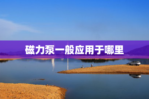 磁力泵一般应用于哪里