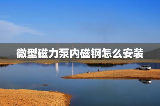 微型磁力泵内磁钢怎么安装
