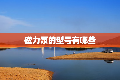 磁力泵的型号有哪些