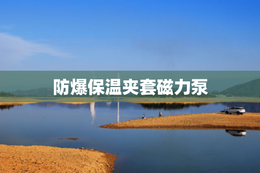 防爆保温夹套磁力泵