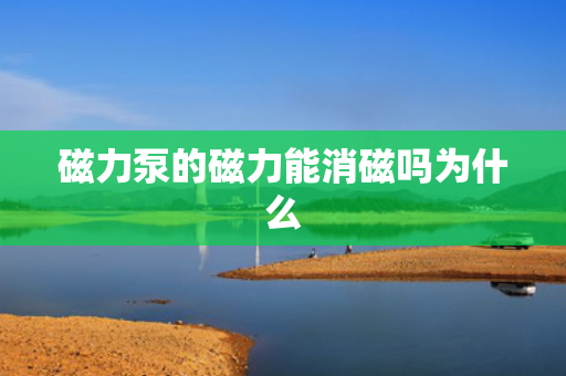 磁力泵的磁力能消磁吗为什么