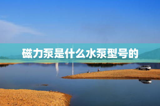 磁力泵是什么水泵型号的