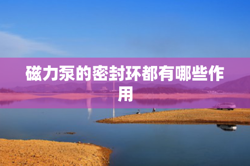 磁力泵的密封环都有哪些作用