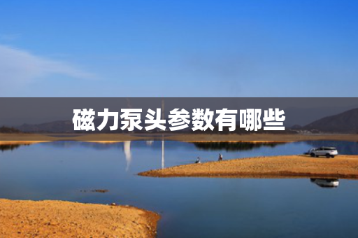 磁力泵头参数有哪些