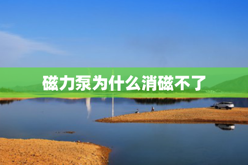 磁力泵为什么消磁不了