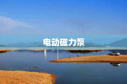 电动磁力泵