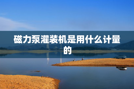 磁力泵灌装机是用什么计量的