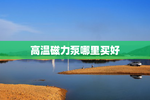高温磁力泵哪里买好
