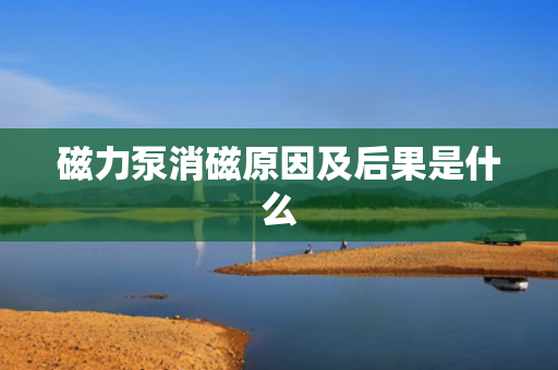磁力泵消磁原因及后果是什么