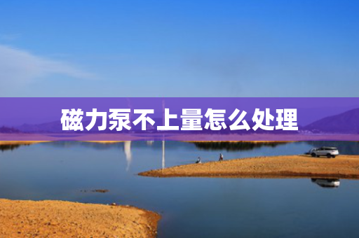 磁力泵不上量怎么处理